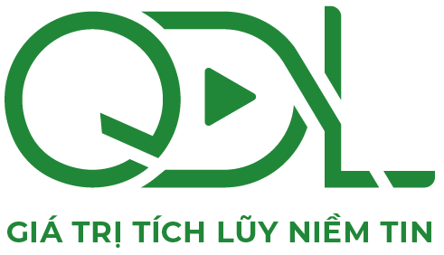 Cung cấp dịch vụ thiết kế Website, Seo